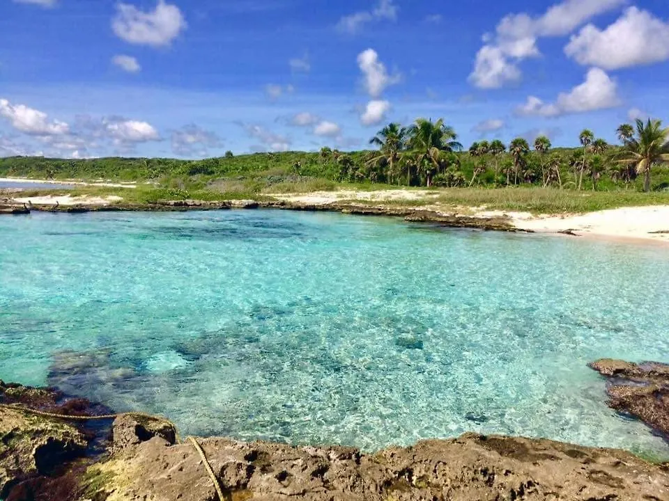 Stunning 2 Bedroom Apartment At Condo With Best Tulum Infinity And Jacuzzi By Waves Management 0*,
