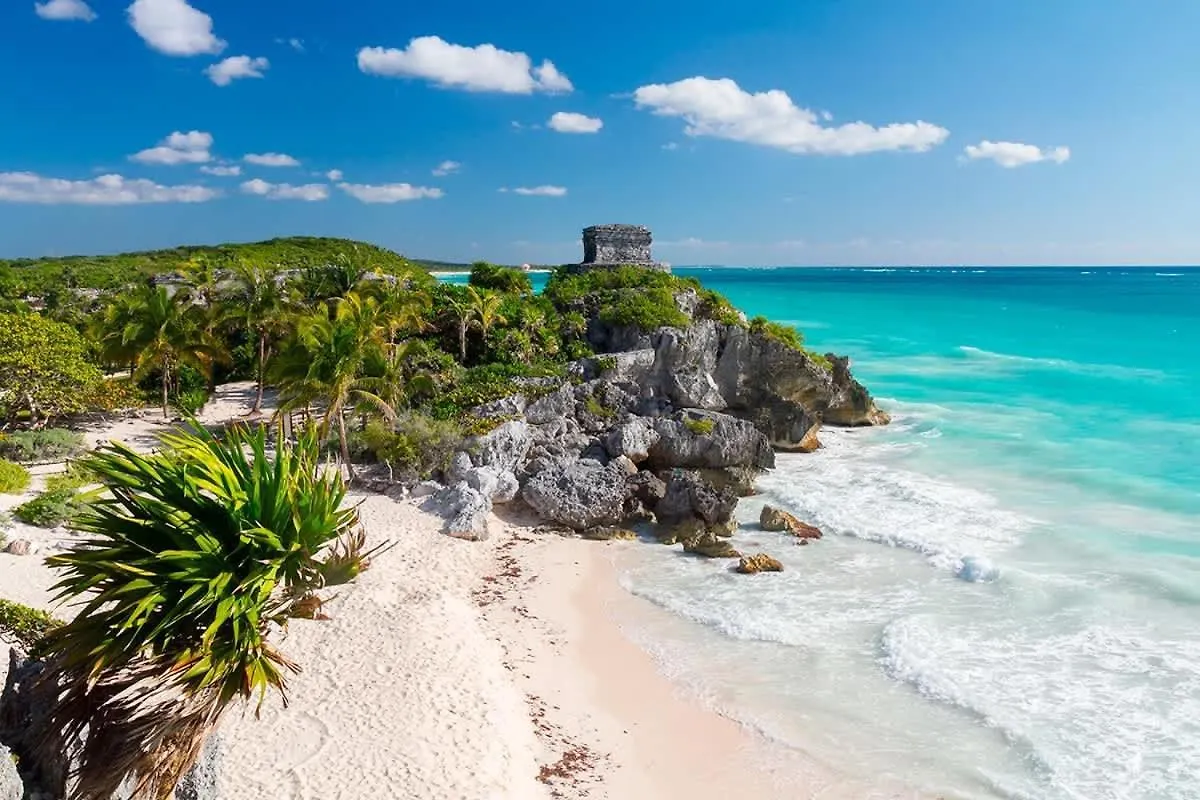 Stunning 2 Bedroom Apartment At Condo With Best Tulum Infinity And Jacuzzi By Waves Management 0*,